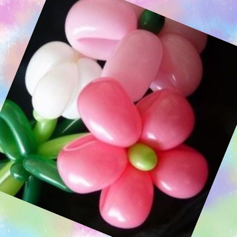 ☆4月15日(日)☆toiro西谷 o0480048013915299230 - ☆4月15日(日)☆toiro西谷