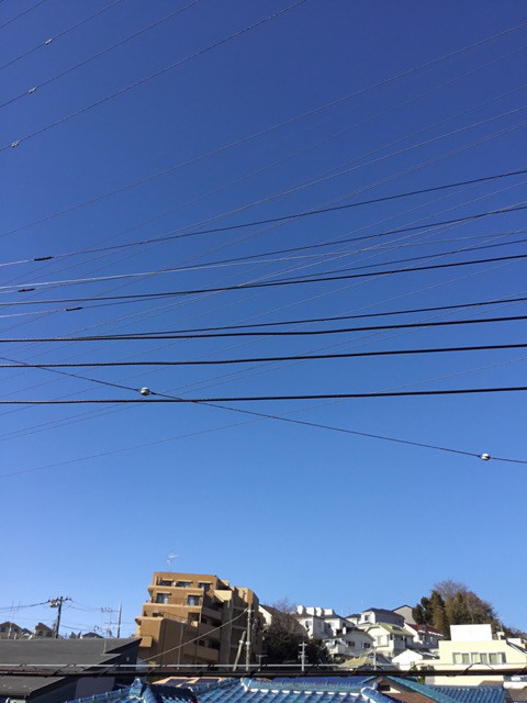 ♪1月25日(木)♪toiro 戸塚 o0480064014118791378 - ♪1月25日(木)♪toiro 戸塚