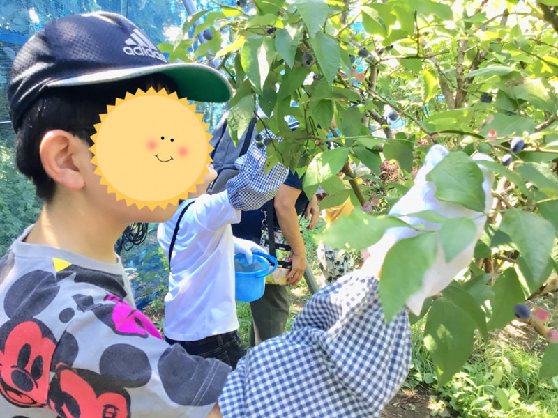 ◇8月22日(水)◇toiro青葉台 o0960072014272590507 - ◇8月22日(水)◇toiro青葉台