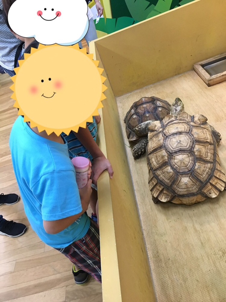 ◇9月28日(土)、29日(日)◇toiro青葉台 1 - ◇9月28日(土)、29日(日)◇toiro青葉台