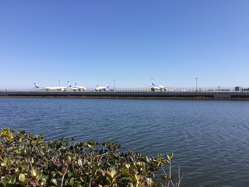 o1080081014712816198 - ♪2月11日(火)♪ toiro戸塚