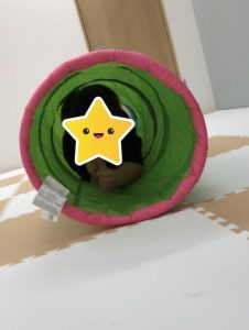 o2102279414810982269 226x300 - 8月25日（月）☆toiro仲町台☆　toiroサーキット