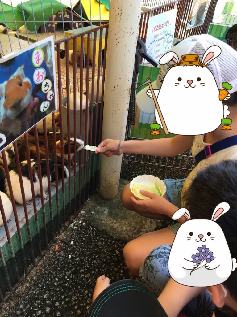 9月5日、6日 ◇toiro青葉台◇ o1080144014816534139 - 9月5日、6日 ◇toiro青葉台◇