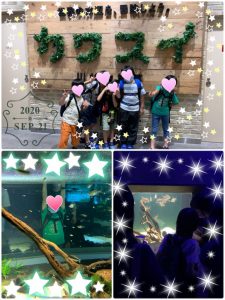 o1920256014826486769 225x300 - ◯toiro大倉山教室◯ 連休の様子☆川崎水族館、ストロベリーパーク