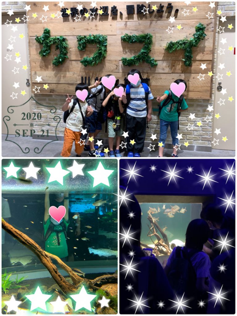 o1920256014826486769 - ◯toiro大倉山教室◯ 連休の様子☆川崎水族館、ストロベリーパーク