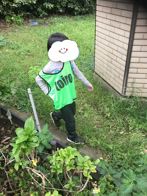 o0303040414833638191 - 2020年10月11日☆toiro西谷☆