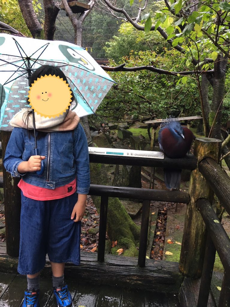10月17日(土)18日(日) ◇toiro 青葉台◇ o1080144014837182754 - 10月17日(土)18日(日) ◇toiro 青葉台◇