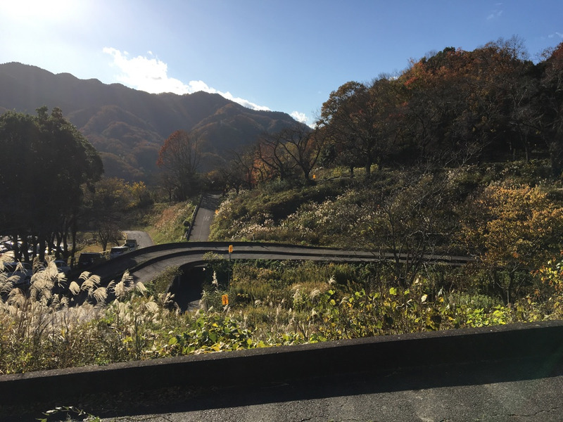 o1080081014855305075 - 11月22日(日)◎toiro本郷台◎