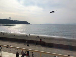 o1080081014865909484 300x225 - 12月13日(日)◎toiro本郷台◎
