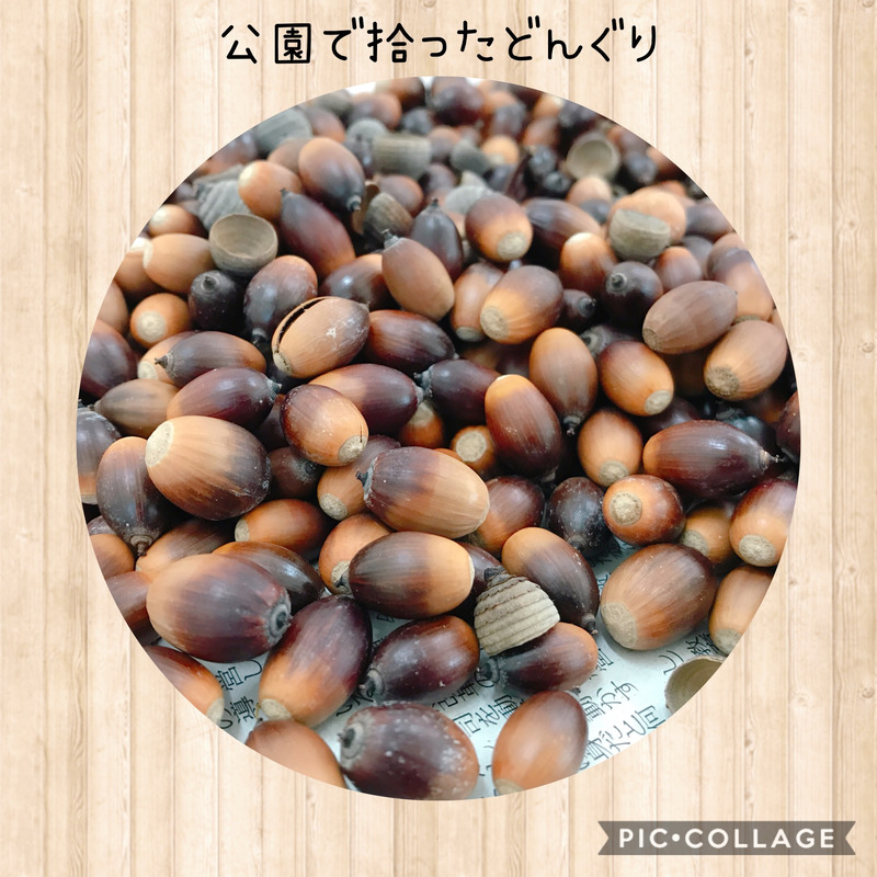☆11月18日toiro大船☆ o1800180014853458323 - ☆11月18日toiro大船☆