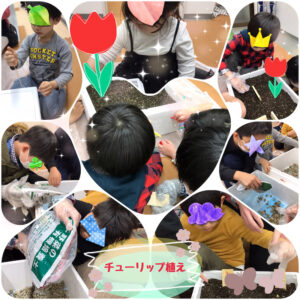 o1995199514886986504 300x300 - toiro都筑ふれあいの丘★チューリップ植え★
