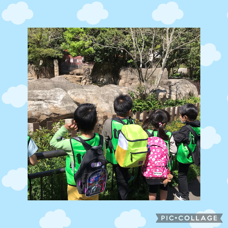 o1800180014928699909 - ☆４月１９日toiro大船