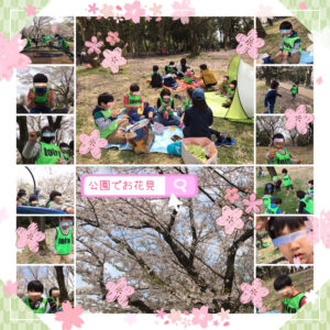o1995199514918522885 300x300 - toiro都筑ふれあいの丘★公園でお花見★