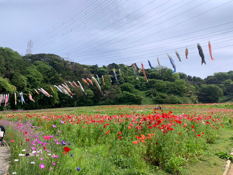 ♪5月8日(土) toiro戸塚♪ o1080081014949258493 - ♪5月8日(土) toiro戸塚♪