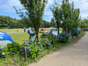 o1080081014959812449 300x225 - 6月12日(土)麻溝公園 ☆toiro鳥が丘☆