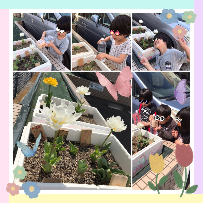 toiro都筑ふれあいの丘★チューリップが咲いたよ★ o1995199514932998385 - toiro都筑ふれあいの丘★チューリップが咲いたよ★