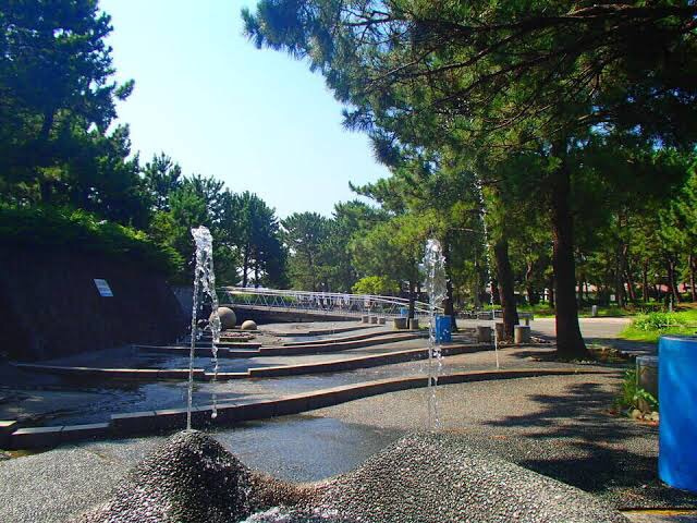 ☆7月25日(日) 海の公園へ行こう!☆ o0640048014978434781 - ☆7月25日(日) 海の公園へ行こう!☆