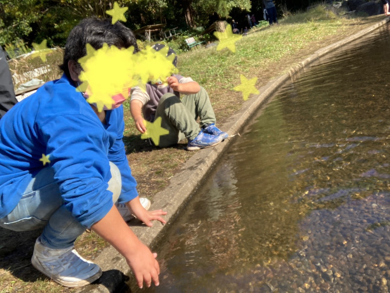 11月13日 toiro平塚 ☆藤沢少年の森で遊ぼう☆ o1080081015032257739 - 11月13日 toiro平塚 ☆藤沢少年の森で遊ぼう☆