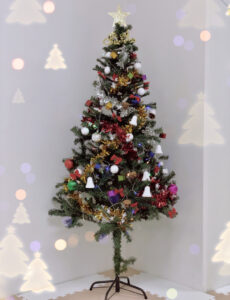 o1023133215048326117 230x300 - 12月20日　toiro小田原 ☆クリスマスツリーがやってきた・お部屋の紹介☆