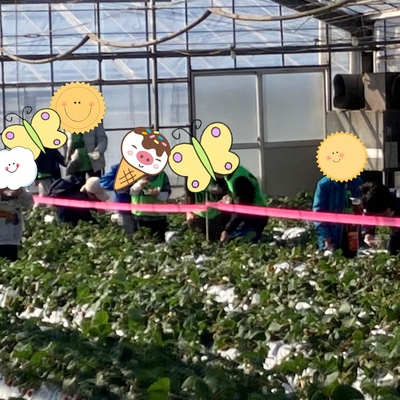 o1080108015062435916 - 1月16日（日）toiro大津