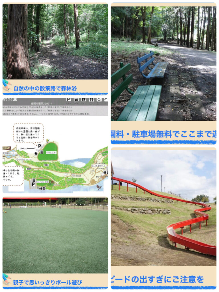 1月22日(土)☆toiro南林間☆第一教室 芹沢公園外出 o1920256015066152398 768x1024 - 1月22日(土)☆toiro南林間☆第一教室 芹沢公園外出