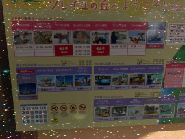o0640048015078006246 - 2月20日(日)☆toiro西谷☆