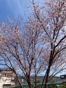 o0500066715089823827 225x300 - 3月15日（火）toiro相模大野　part45☆彡　運動療法