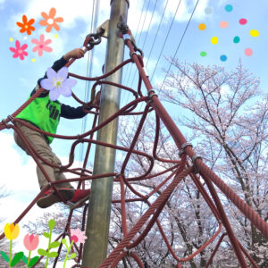 o1915191515099183457 300x300 - toiro都筑ふれあいの丘★公園でお花見★