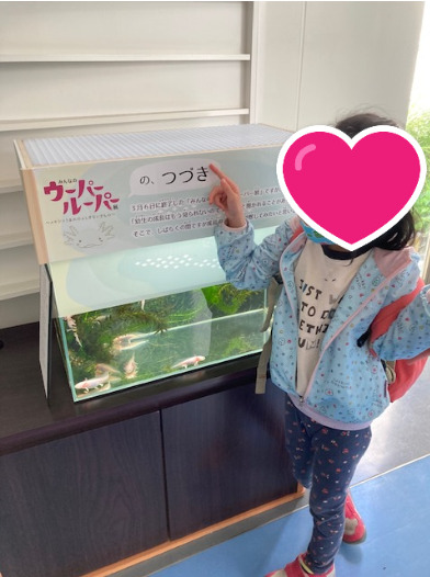 toiro伊勢原 ☆アクアリウムへ行こう!!☆ f4965d66720889e35fe660bb1388754f - toiro伊勢原 ☆アクアリウムへ行こう!!☆