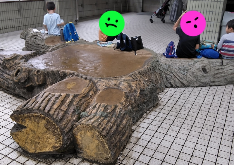 ☆toiro小田原☆生命の森 地球博物館 o1080076215122581837 - ☆toiro小田原☆生命の森 地球博物館