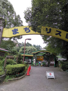 o0810108015162278389 225x300 - 8月18日＊toiro小田栄＊町田リス園
