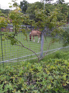 o0810108015163228618 1 225x300 - ☆2022.8.20 toiro新吉田☆