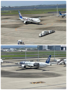 o1080144015156251494 225x300 - 8月5日(金) toiro白楽