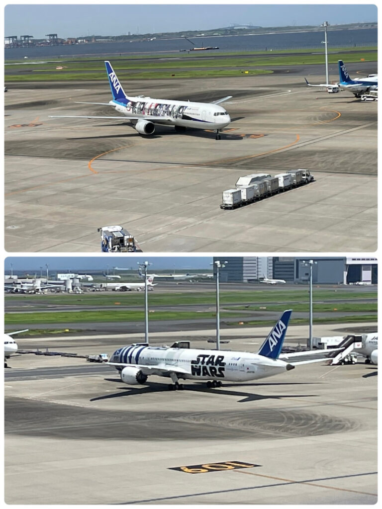 8月5日(金) toiro白楽 o1080144015156251494 768x1024 - 8月5日(金) toiro白楽