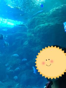 o1080144015180202099 225x300 - ♡9月25日　toiro藤沢第二教室　新江ノ島水族館へ行こう♡