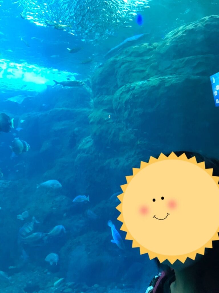 o1080144015180202099 768x1024 - ♡9月25日　toiro藤沢第二教室　新江ノ島水族館へ行こう♡