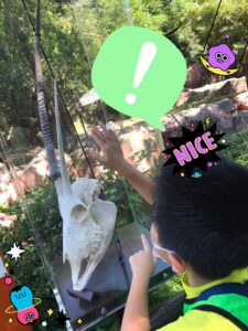 o1915255315177012217 225x300 - 9月21日(水)　☆toiro金沢文庫35☆