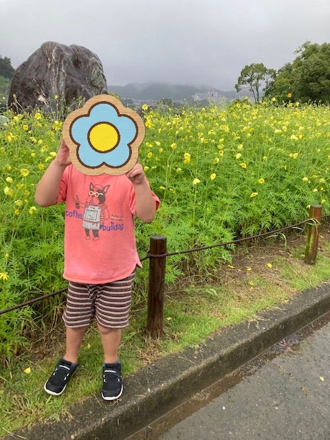 o0480064015185029504 - 10月12日　toiroかしわ台☆紅葉を見に行こう‼
