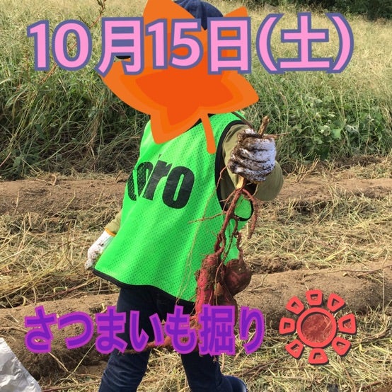 10月15日(土)toiro秦野☆さつまいも掘り体験☆ o0554055415190067013 - 10月15日(土)toiro秦野☆さつまいも掘り体験☆
