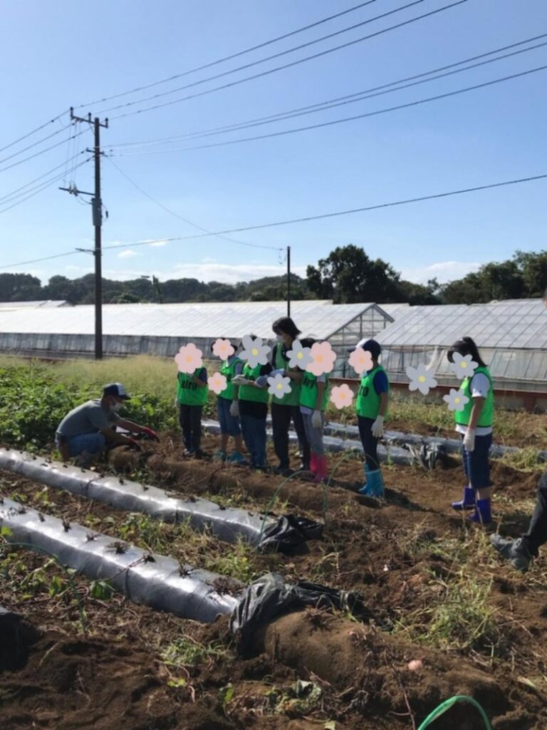o0960127915181698970 768x1024 - ☆9月25日(日)　toiro根岸☆　さつまいも掘り