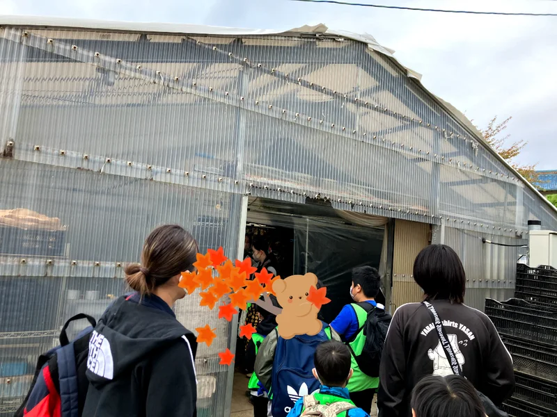 o1080081015193284598 - ☆toiro瀬谷☆　2022/10/25　しいたけ狩り