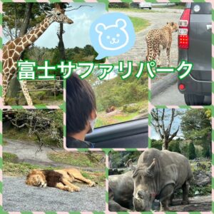 o1080108015189644913 300x300 - toiroいずみ中央☀️2022/10/17☀️