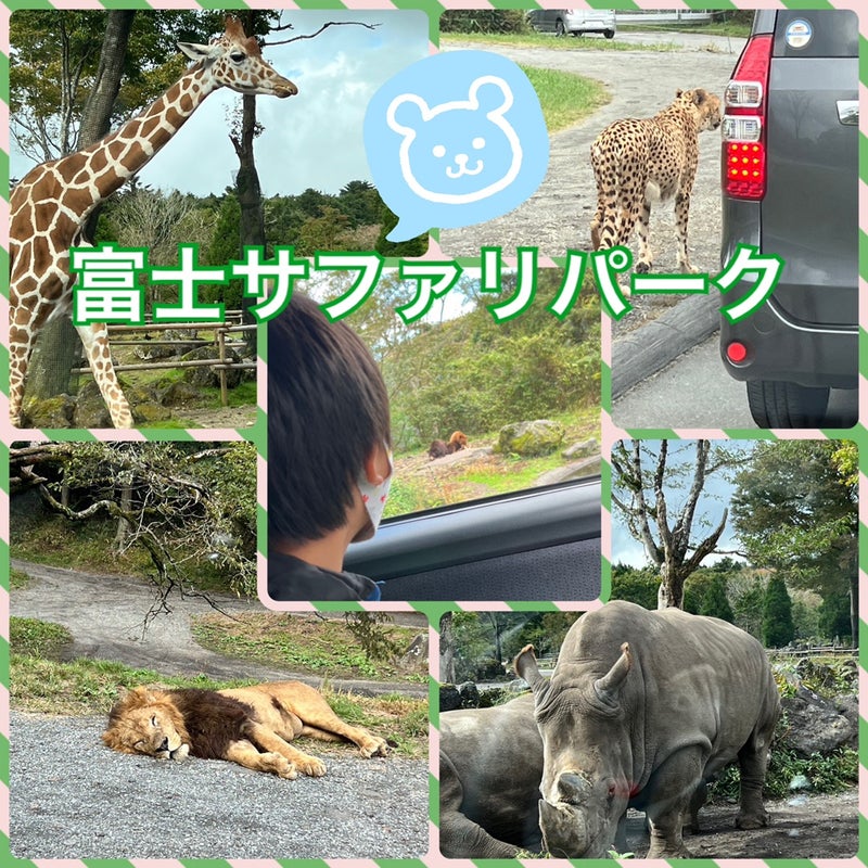 toiroいずみ中央☀️2022/10/17☀️ o1080108015189644913 - toiroいずみ中央☀️2022/10/17☀️