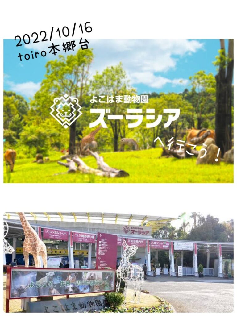 10月16日 ◎toiro本郷台◎ o1080144015189600511 768x1024 - 10月16日 ◎toiro本郷台◎