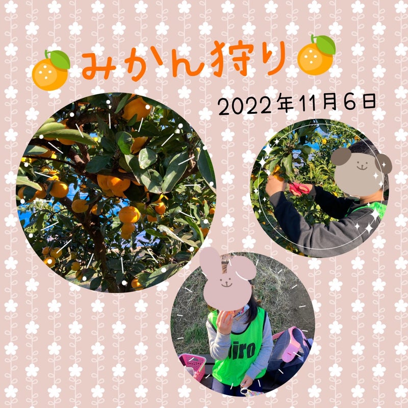 52080f801cf1ef9d10a6e55a36133131 - ☆11月6日（日）toiro日野☆