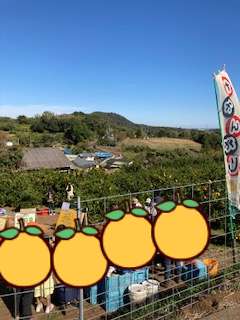 6c769e185f980e16fd9f669bae7c4628 1 - １1月9日(水)　　 　toiro伊勢原　　　☆みかん狩りに行こう☆￼