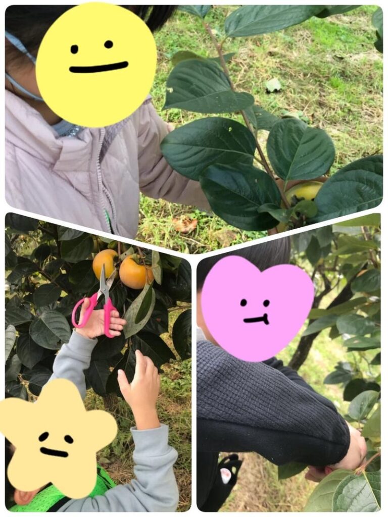 10月30日(日)☆toiro根岸 柿狩り 7b9adb9321c822952da535841120382c 768x1024 - 10月30日(日)☆toiro根岸 柿狩り