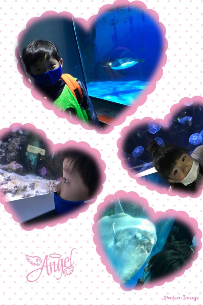 ★toiro仲町台★八景島シーパラダイスへ行こう! 7be33c55c673d9bb20393a3de925b308 683x1024 - ★toiro仲町台★八景島シーパラダイスへ行こう!