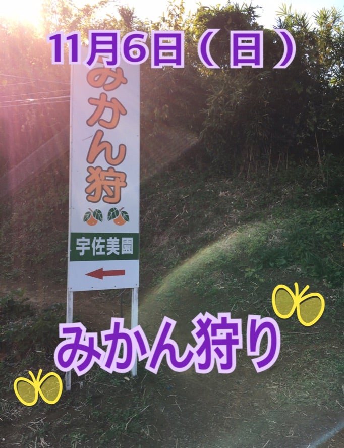 d2e900ea118f73d9b2320e05c26f5b9e 1 - 11月6日（日）toiro秦野☆みかん狩り☆