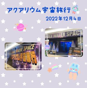 52080f801cf1ef9d10a6e55a36133131 297x300 - ☆12月4日（日）toiro日野☆